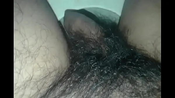 Nuevos peludo vídeos interesantes