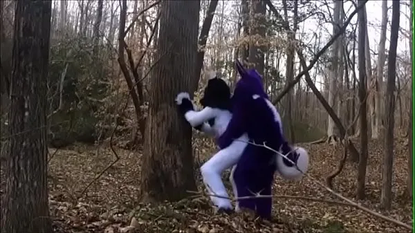 Novos Casal Fursuit acasalando-se na floresta vídeos legais