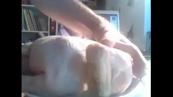 Nuevos masturbación de pollo, POLLO r., sexo de pollo vídeos interesantes