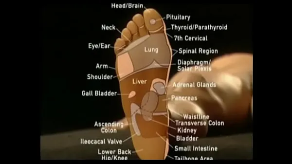 نئے educational toe sucking زبردست ویڈیوز