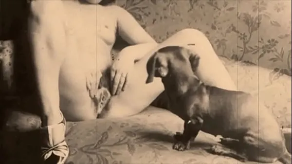 Nye Vintage Taboo, Pussy & Pooch seje videoer